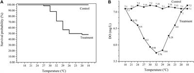 Transcriptomic responses to thermal stress in hybrid abalone (Haliotis discus hannai ♀ × H. fulgens ♂)